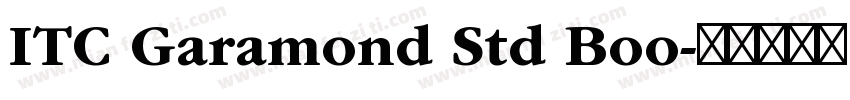 ITC Garamond Std Boo字体转换